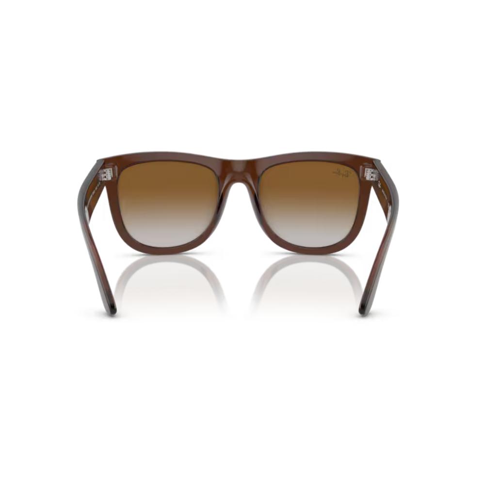 Ray-Ban Wayfarer Reverse