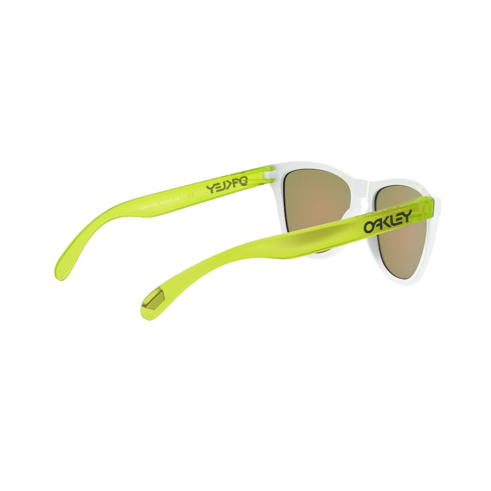 Oakley  Frogskins Prizm