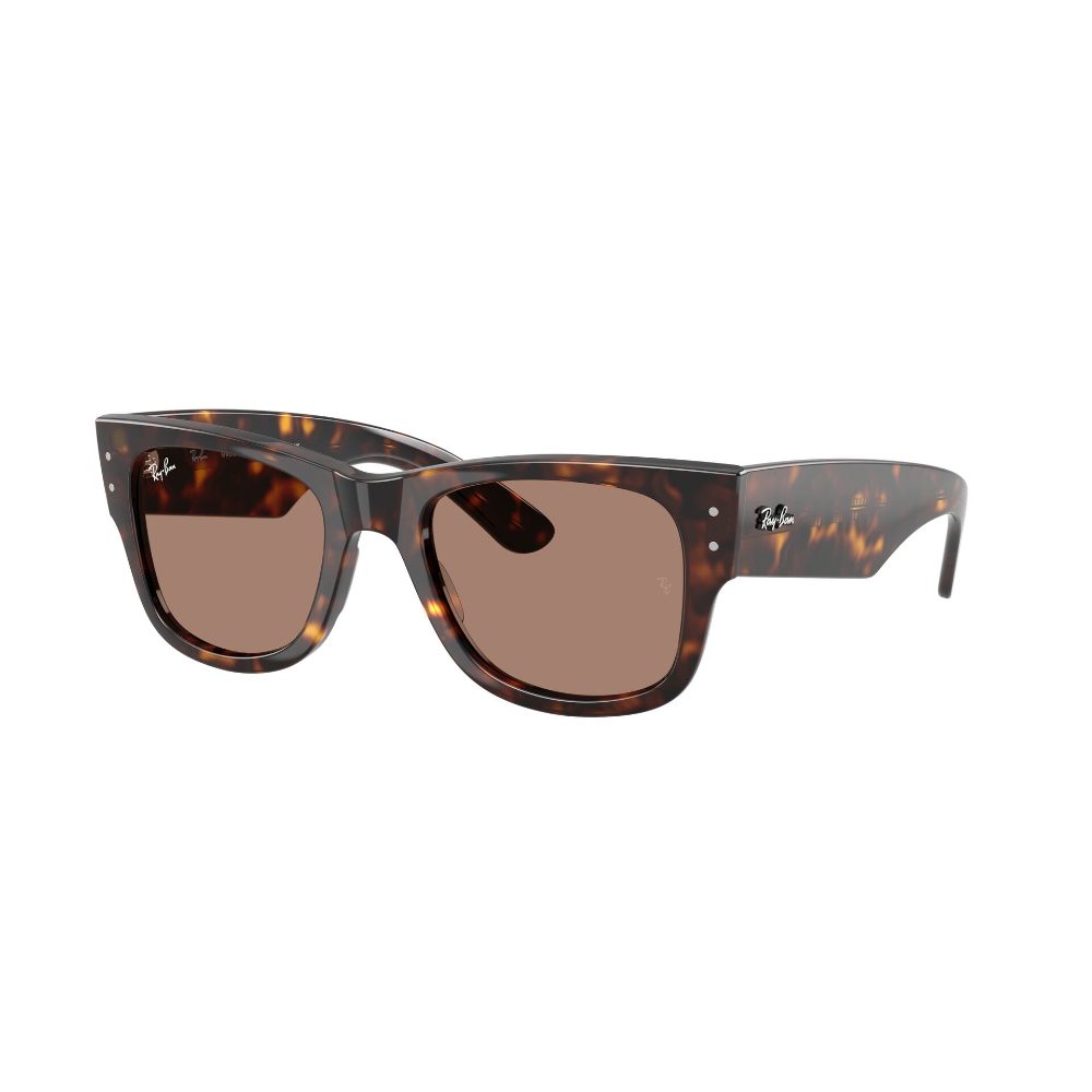 Ray-Ban Mega Wayfarer