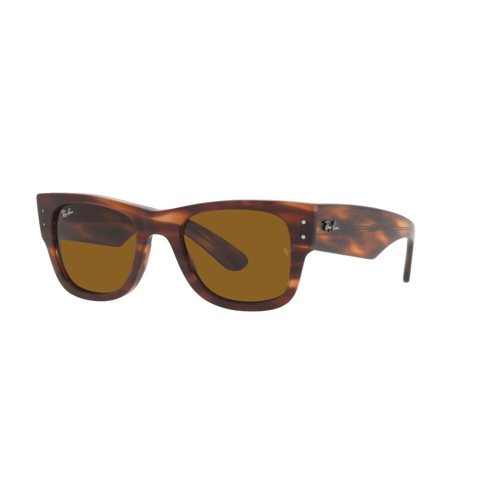 Ray-Ban  Mega Wayfarer