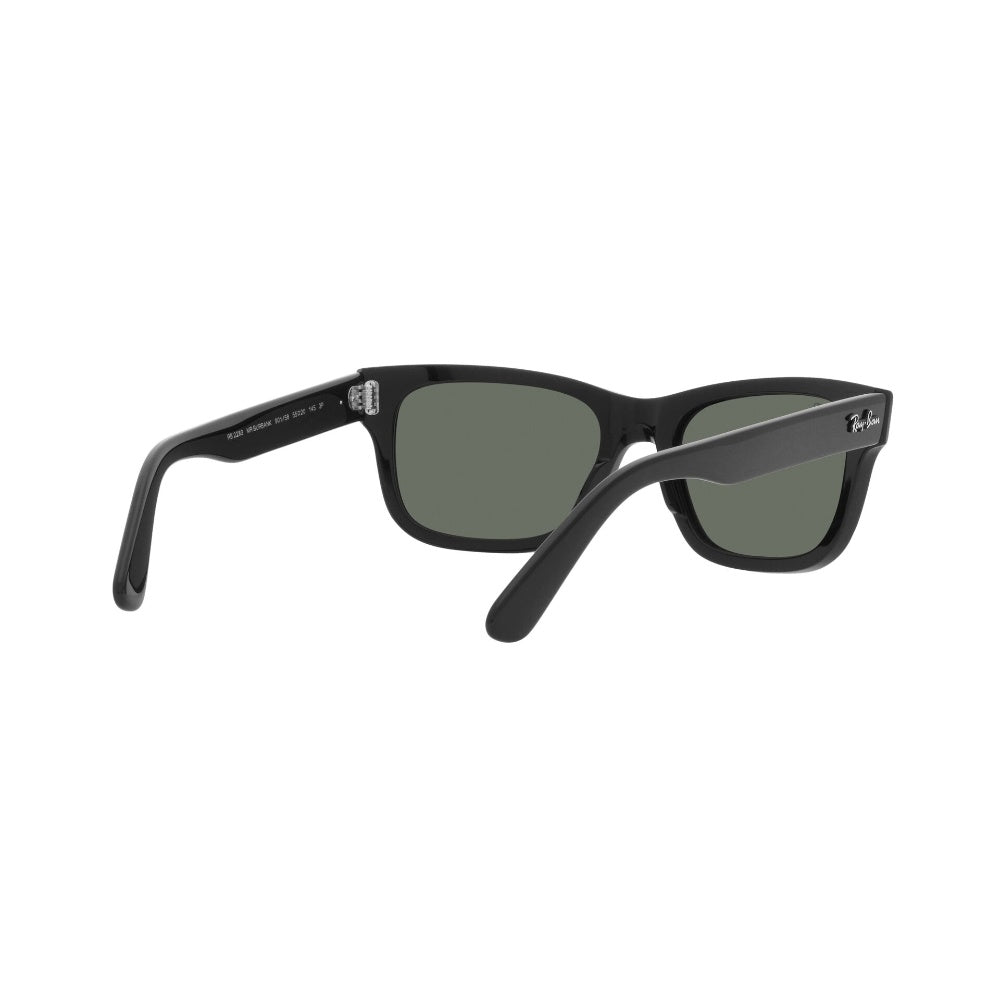 Ray-Ban  Mr Burbank Polarizado