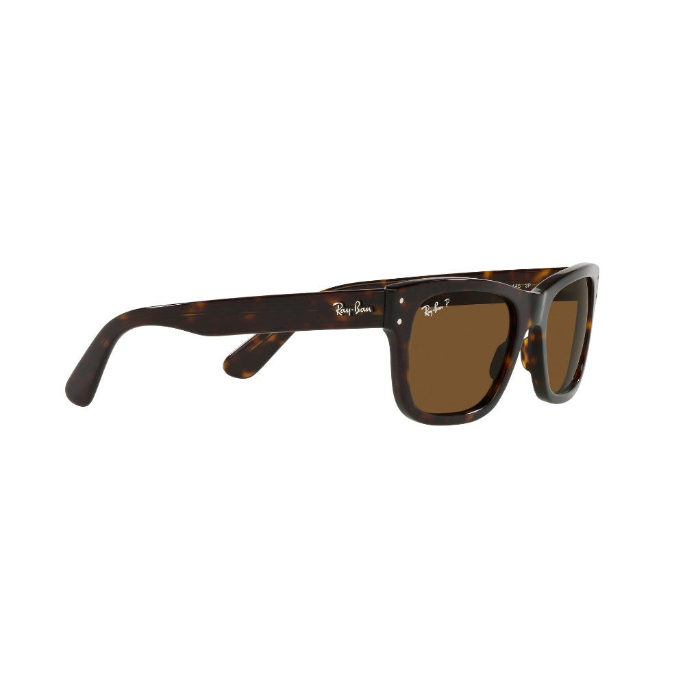 Ray-Ban  Mr Burbank Polarizado