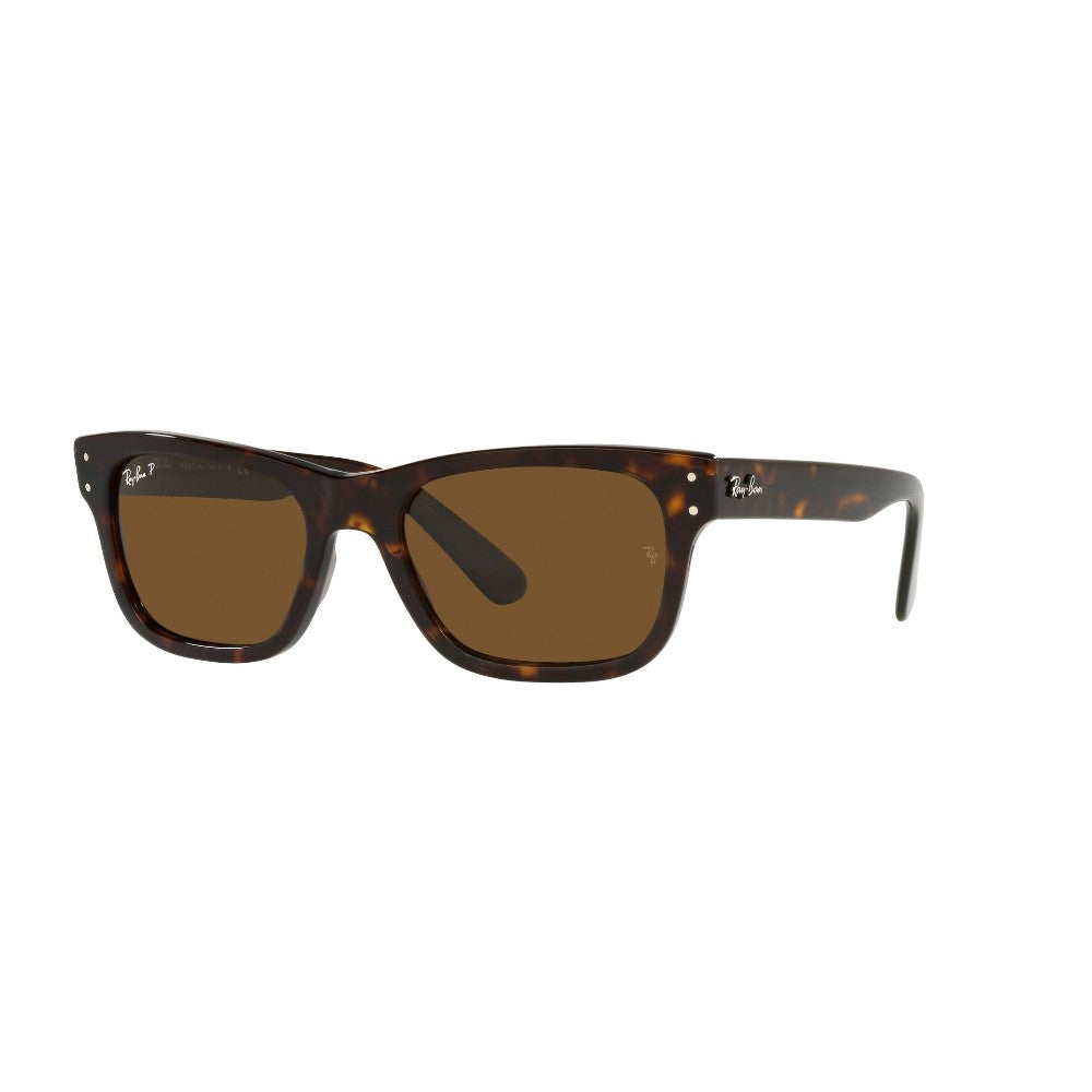 Ray-Ban  Mr Burbank Polarizado