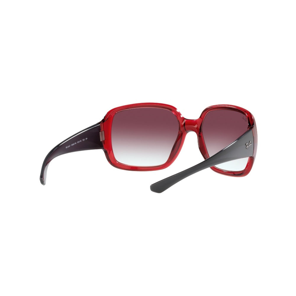 Ray-Ban  Powderhorn