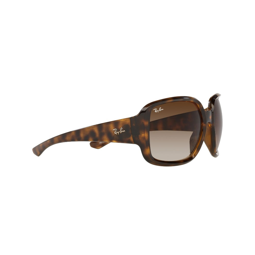 Ray-Ban  Powderhorn