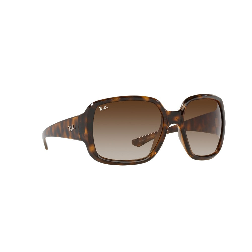 Ray-Ban  Powderhorn