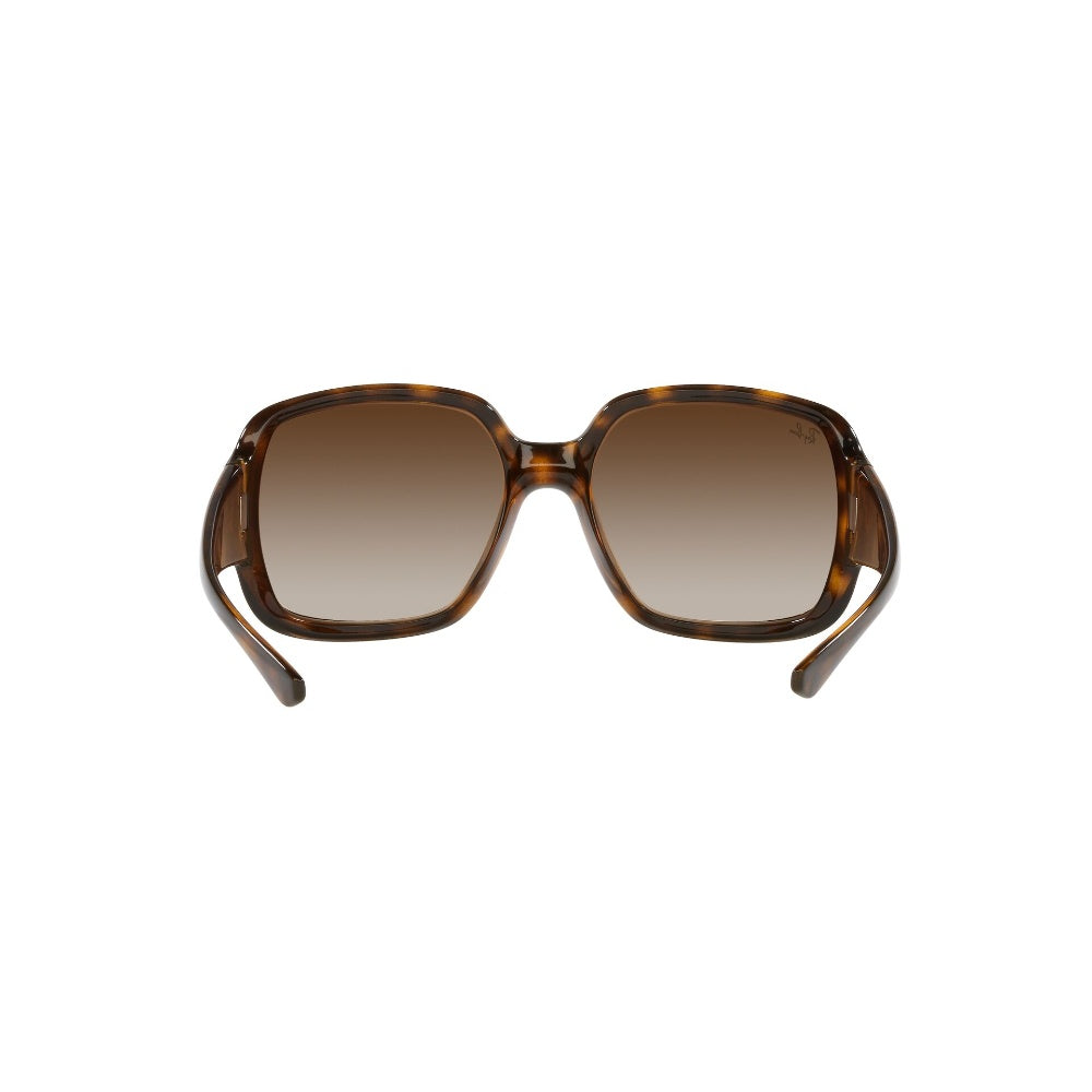 Ray-Ban  Powderhorn