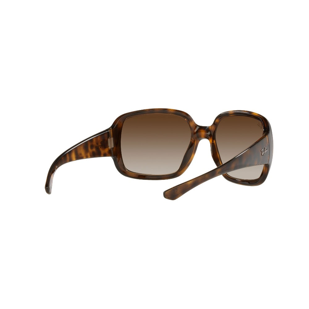Ray-Ban  Powderhorn