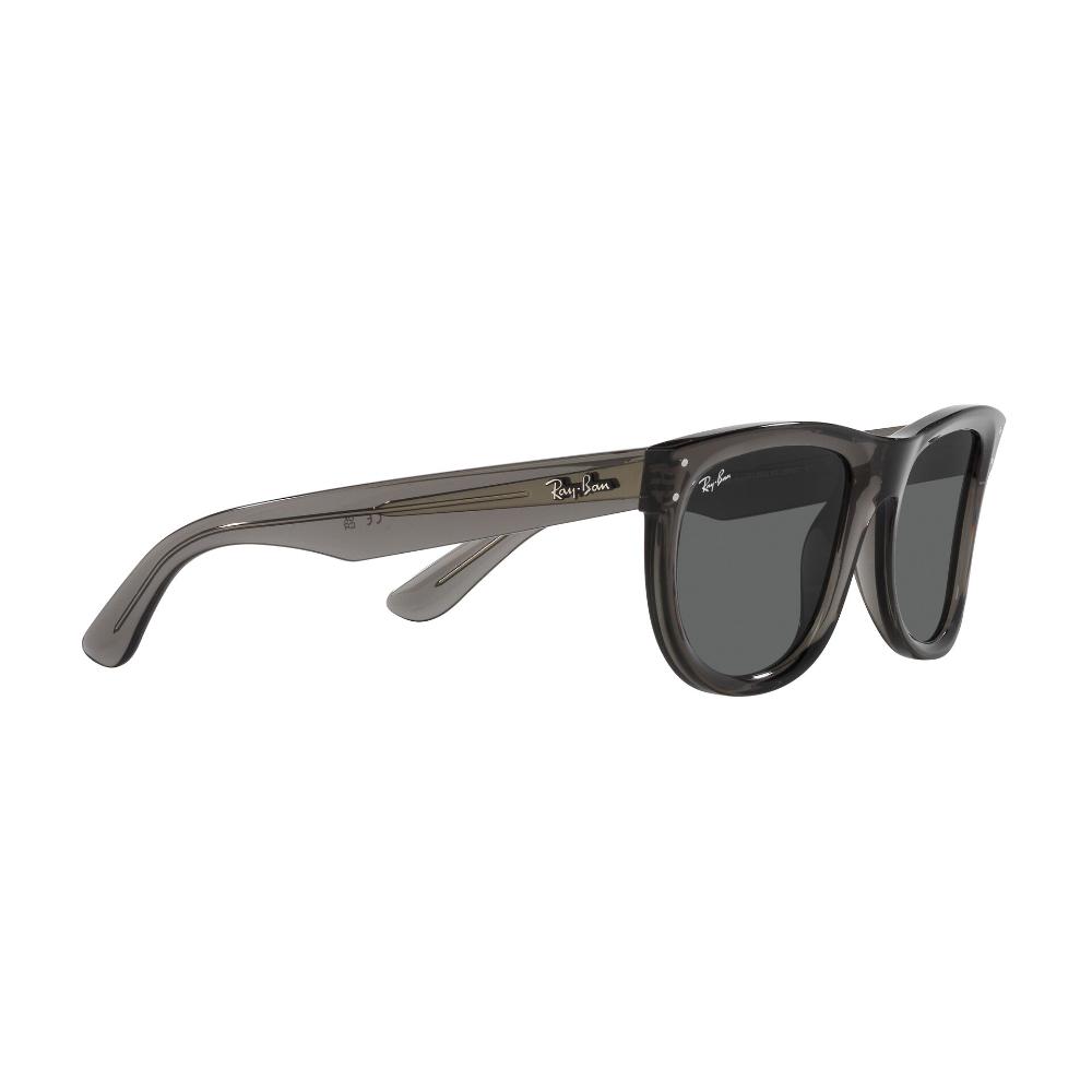 Ray-Ban  Wayfarer Reverse