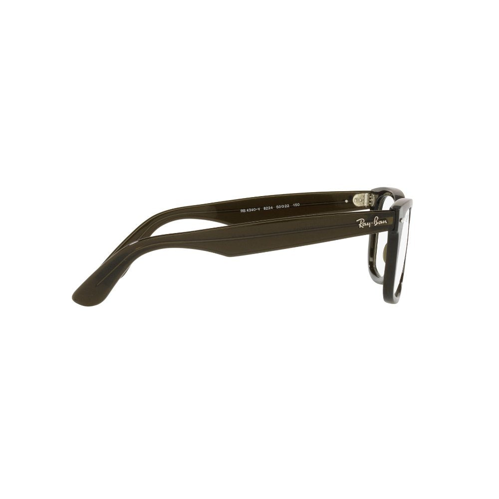 Ray-Ban  Wayfarer Ease